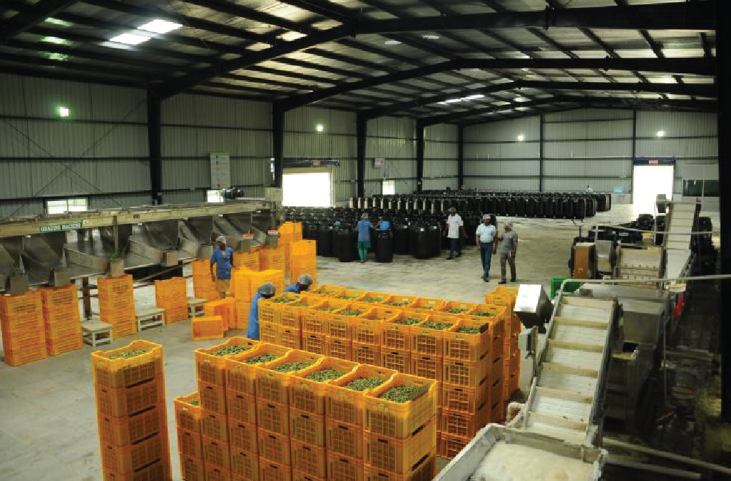 Sri Durga Agro Exports